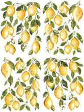 Load image into Gallery viewer, Lemon Drops
